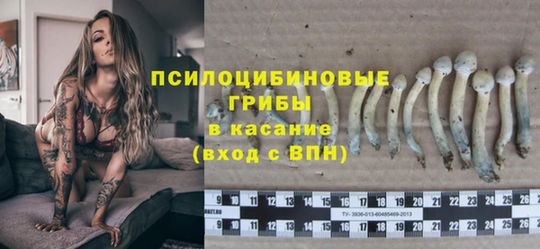 скорость Тобольск