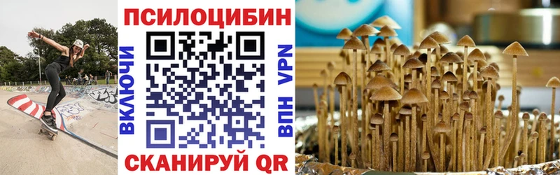 kraken ONION  Ковдор  Псилоцибиновые грибы ЛСД 